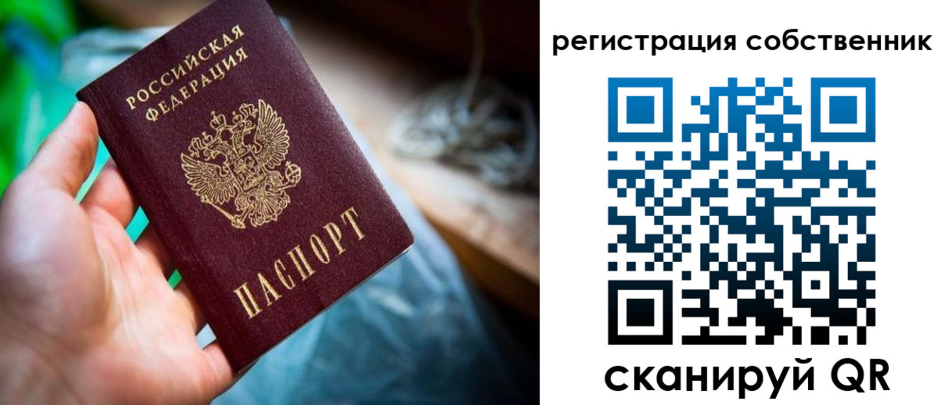прописка гарантия в Новотроицке